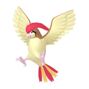 pidgeotto 0 loend